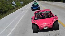 Discover Cozumel Island over Buggy Only from Riviera Maya
