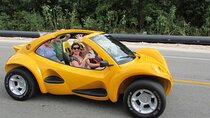 Buggy Trip in Cozumel Island with transfer from Riviera Maya