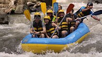 Bali White Water Rafting Including Lunch and Transport