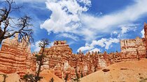 Small Group Bryce Canyon & Zion National Park Tour from Las Vegas