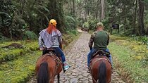 Medellin Horse ride coffee tour and spa