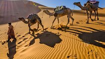 8 Days Camel Trek at the Desert in Morocco 