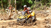 Snorkel & ATV (shared) with Transportation from Riviera Maya