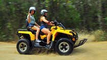 Unbelievable Tulum Archaeological Zone & ATV (Shared) Tour from Riviera Maya