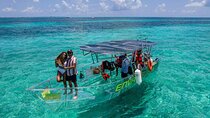 Cozumel Clear Boat Tour! Round Transportation From Cancun & Playa Del Carmen