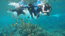 Private Small Group Snorkeling and West Nusa Penida Tour All Inclusive from Bali