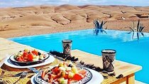 Lunch and Camels Trek in Desert Agafay Day Trip from Marrakech 