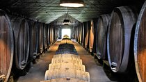 Private Wine Tasting in the Setúbal Wine Region, from Lisbon
