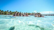 Discover 2 Islands in the Caribbean Sea - Isla Contoy & Isla Mujeres from Cancun