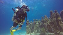 MUSA Diving For Beginners in Cancun