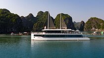 Private Transfer on Expressway & Luxury Cruise 07 Hours on Bay