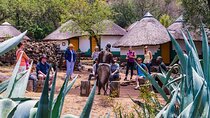 Lesedi Cultural Village Private Tour with Lunch in 4 hours