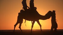 3-Day Private Sahara Desert Tour from Marrakech to Fes