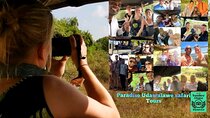 Paradise Udawalawe Safari Tours