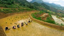 6 Days All-Inclusive Private Tour: Hanoi - Ha Long - Sapa