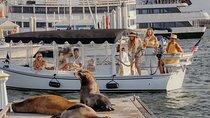 Private E-Boat Cruise: Wine, Charcuterie and Sea Lion Spotting