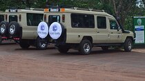 6 Days Safari : Manyara, Ngorongoro, Serengeti & Tarangire National Park