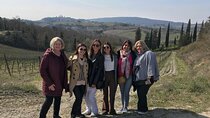 Wine Tasting and History Guided Day Tour in Chianti 