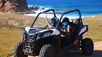 Private RZR tour, handmade quesadillas and Pacific Arch! 