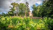 Custom Planned Beaujolais Vineyard Tour - Private Driver - Lyon 