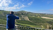 Private Barolo Wine Tour with Winemaker from Turin