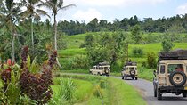 Bali 4WD Adventure WakaLand UNESCO Jatiluwih Trip in Bali Outback