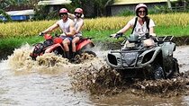Bali Activities Quad Bike Adventure (ATV BIKE)