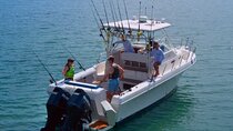 Sport Fishing Tours 