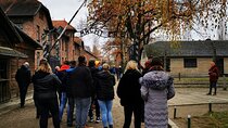 Guided Tour from Krakow to Auschwitz Birkenau with hotel pick up