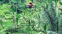 Ubud Private Tour