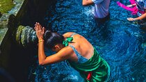 Balinese Purifying Tour