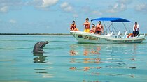 Sian Kaan Eco Adventure! Round Transportation From Playa Del Carmen
