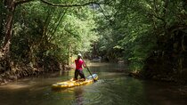 Paddle Board Adventure in Palomino River Tour