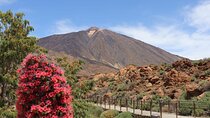 Masca - Garachico - Icod - Teide National Park