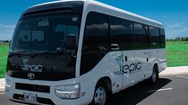 Shared Shuttle Departure Transfers - Denarau,Wailoaloa & Nadi to Nadi Airport