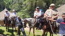 Horseback Riding Tour in Santa Marta and Tayrona Park