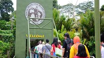 Orang Utan Island Day Tour