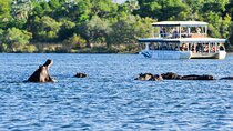 Zambezi River Sunset Cruise in Victoria Falls