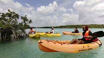 Bacalar Lagoon! Kayaks & Cenote Azul From Playa Del Carmen