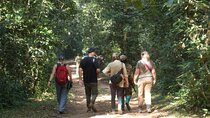 2 Days Gorilla Trekking in Bwindi through Kigali