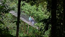 La Fortuna: Arenal Hanging Bridges Hiking Tour