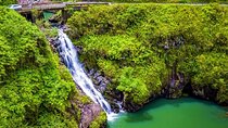 Viator Exclusive: Maui Tropical Rainforest Small Group Tour