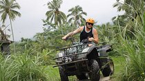 Bali : Half Day Quad Bike Tour with Lunch 