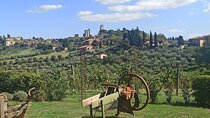 HALF-DAY: Chianti Classic Tour with Wine Experience & visit of San Gimignano