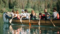 Wildlife on the Bow | Big Canoe Tour in Banff National Park