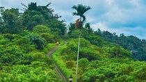 Ubud Trekking and Traditional Massage Experience