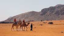 Camel Tours in Wadi Rum Desert | Magic Bedouin Star