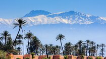 Full-Day Group Trip to Marrakech from Agadir