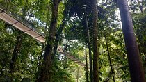 Hanging Bridges Walk in Costa Rica