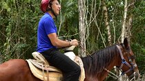 Horseback Ride, ATVs (Single), Cenote & Ziplines! Round Transportation Included